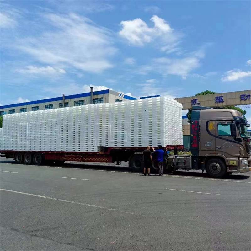 河北邯郸成安县到玉林物流公司——一站式服务，让货运更轻松（玉林专线物流）